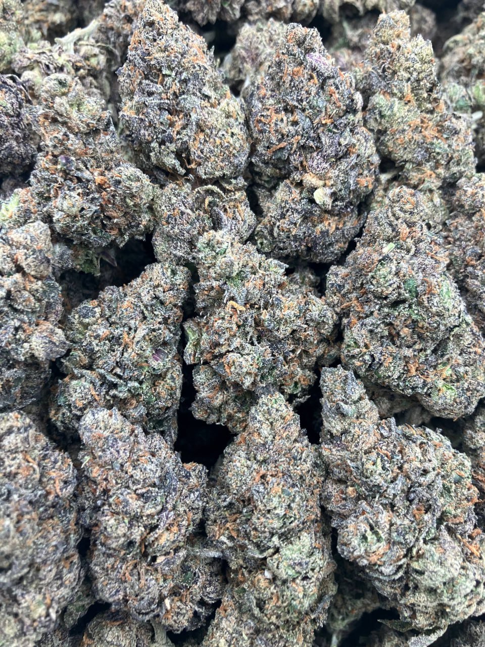 Lemon Drops