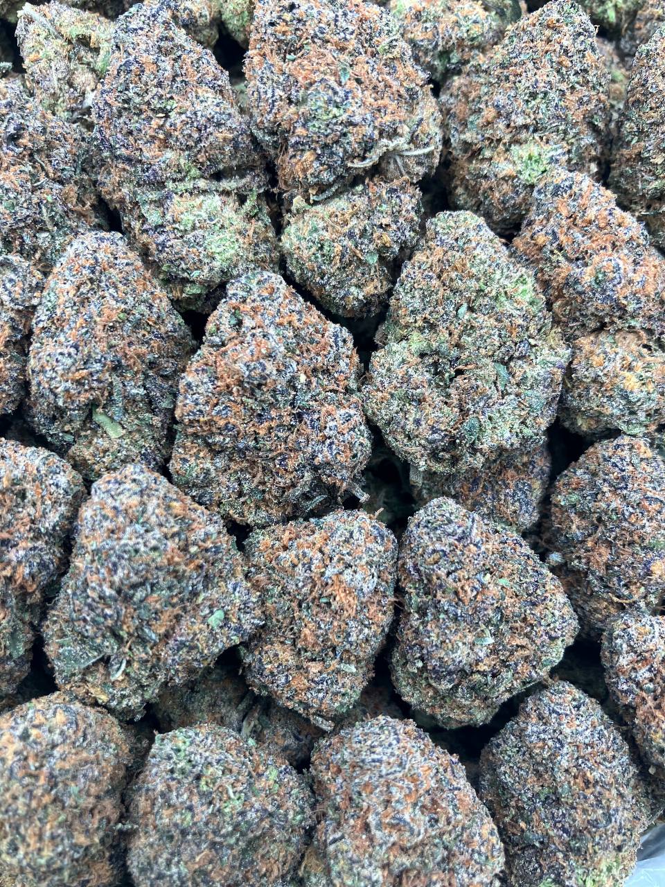 Lucky Charms