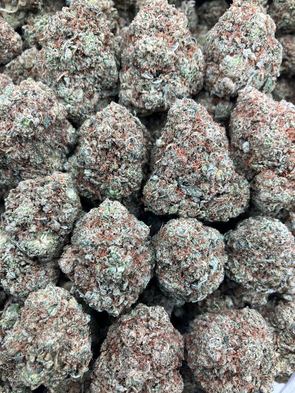 Nigerian Glue