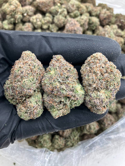 Pink Lemonade Gelato