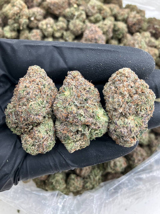 Pink Lemonade Gelato