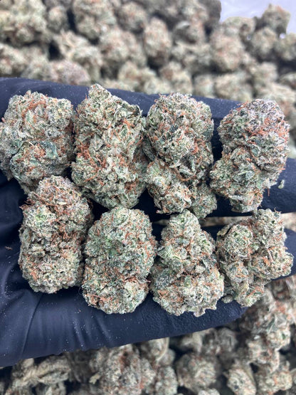 Pressure x Glue