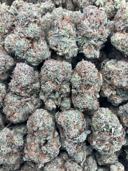 Pressure x Glue