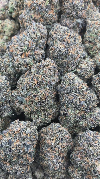 Berner Blast
