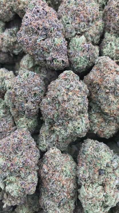 Pink Lemonade Gelato