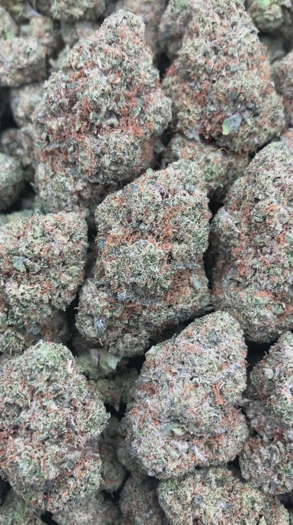 Headband OG