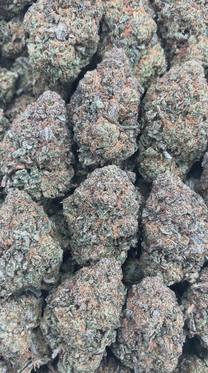 Punani Purp