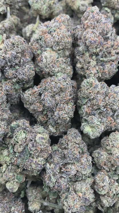 Cherry Snapple Gelato