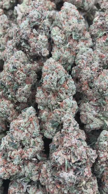 Abusive OG