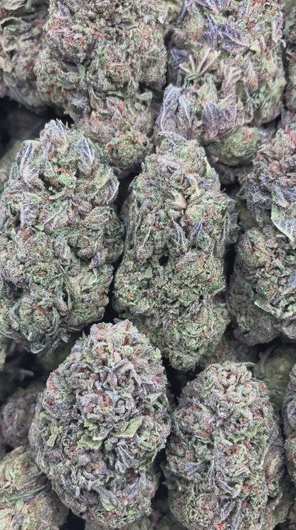 Gengar Gelato