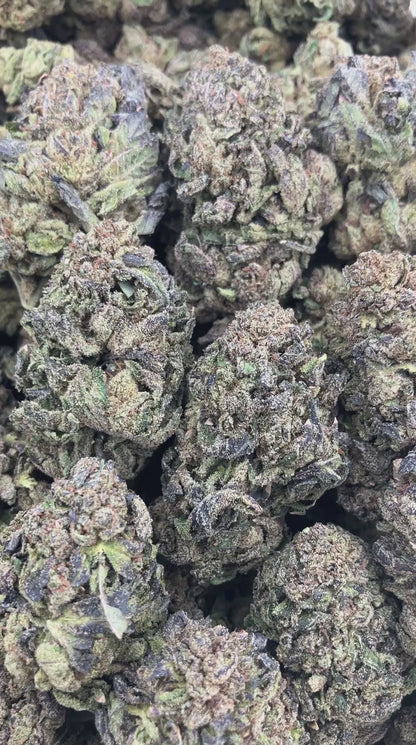 Grapefruit Runtz