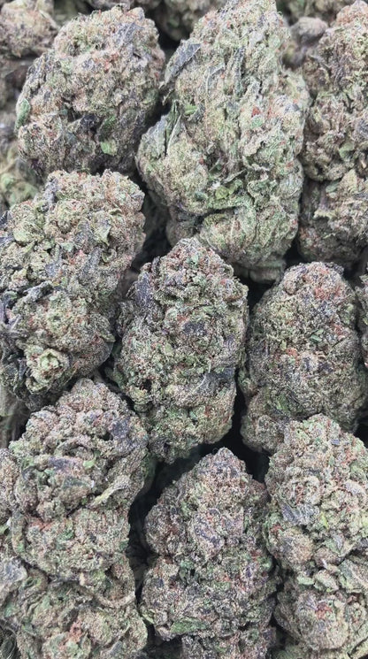 Labubu Gelato
