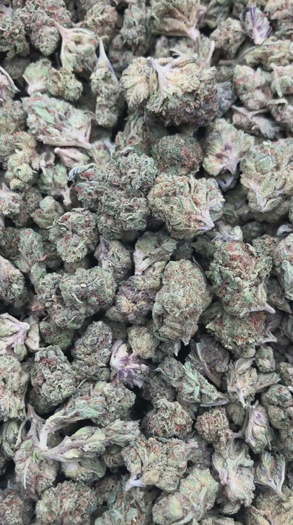 Draymond Green OG