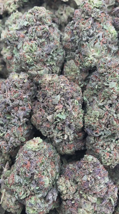 Apple Jack x Fritters