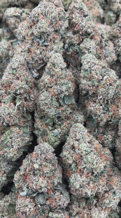 Saturn OG