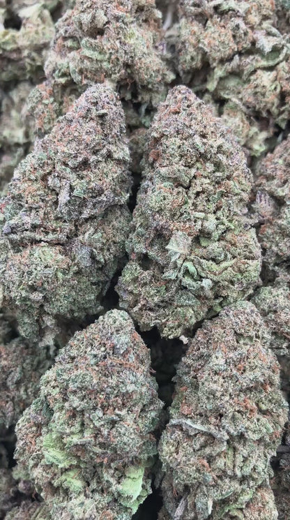 Top Dog Platinum