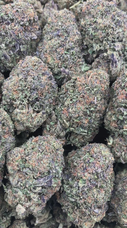 Lava Cake Gelato