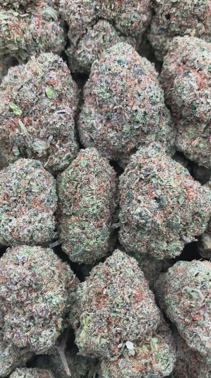 Bubble Gum Runtz