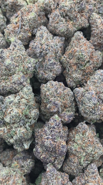 Larry x Gelato
