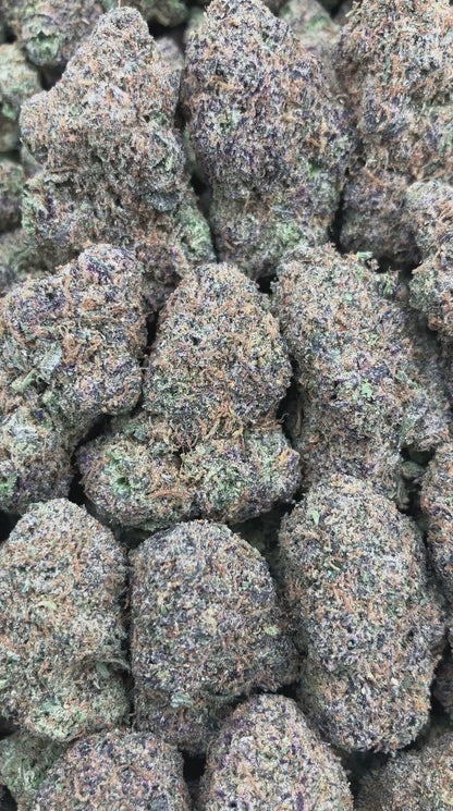 Quagen x Gelato
