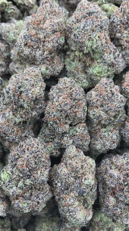 Apricot Gelato