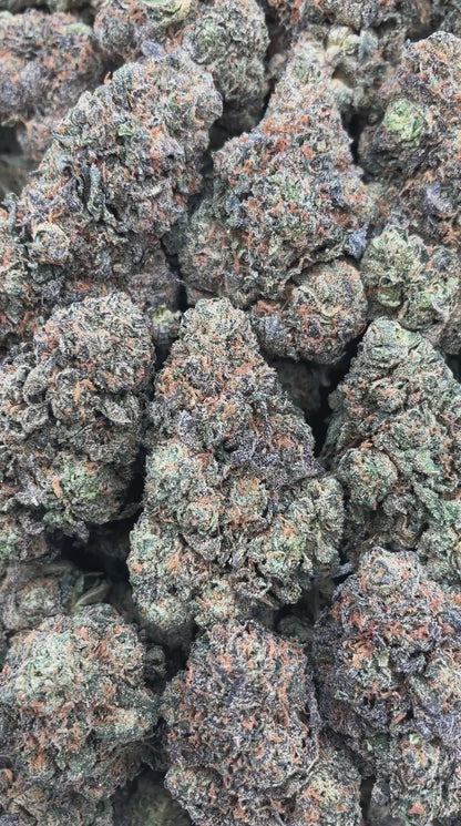 Horchata x Gelato
