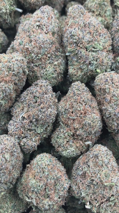 Gelato Cake