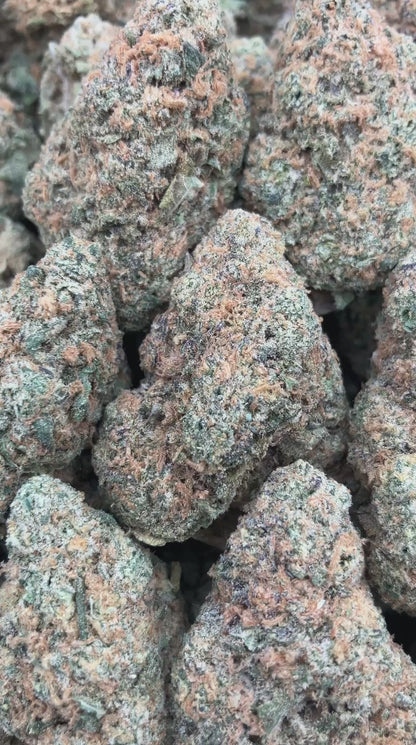 Rainbow Dream