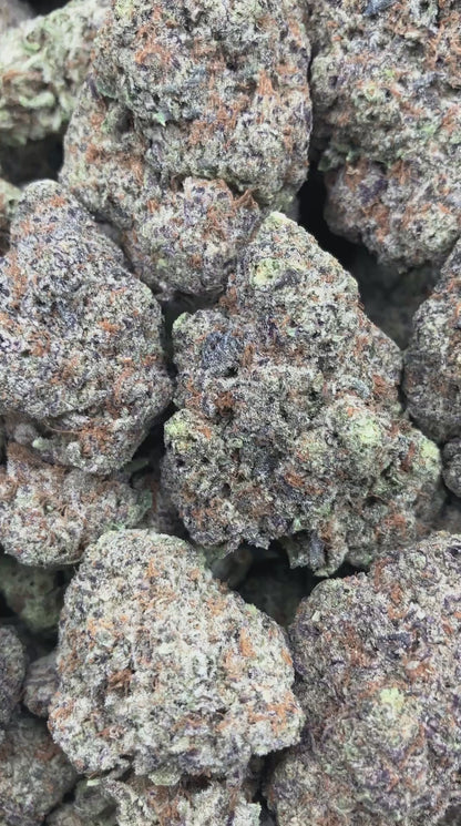 Roca Mints