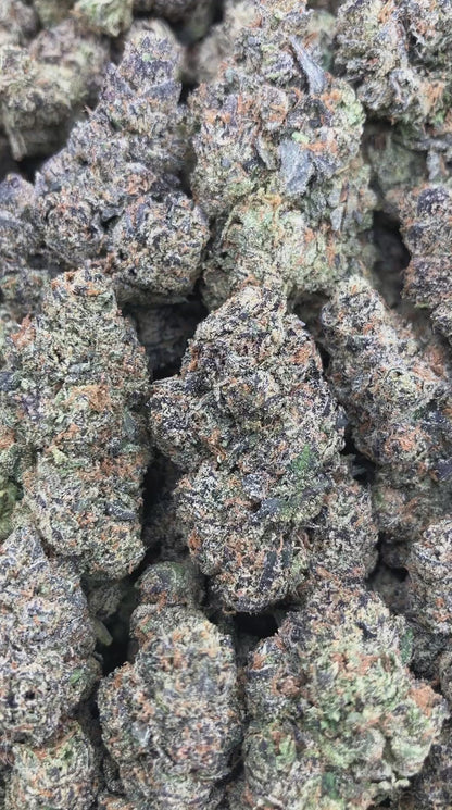 Mangosteen Gelato