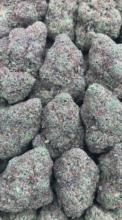 Diablo OG