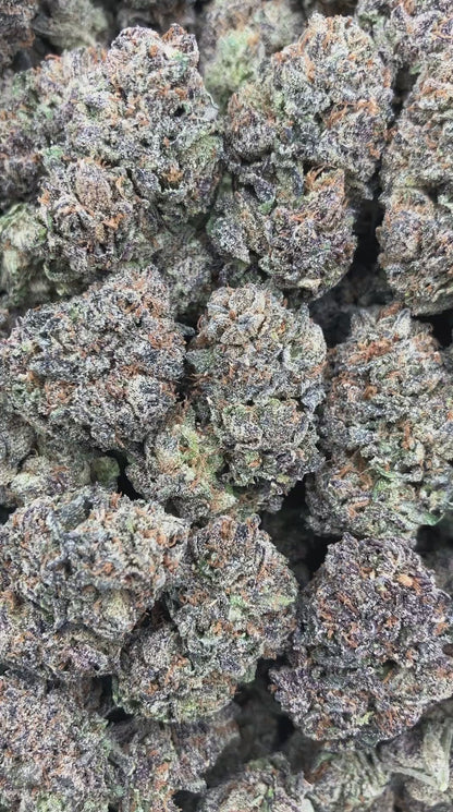 Blue Sherb Runtz