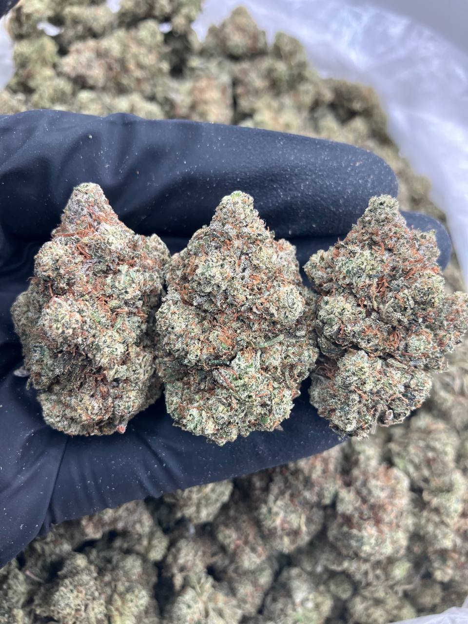 Primate Glue