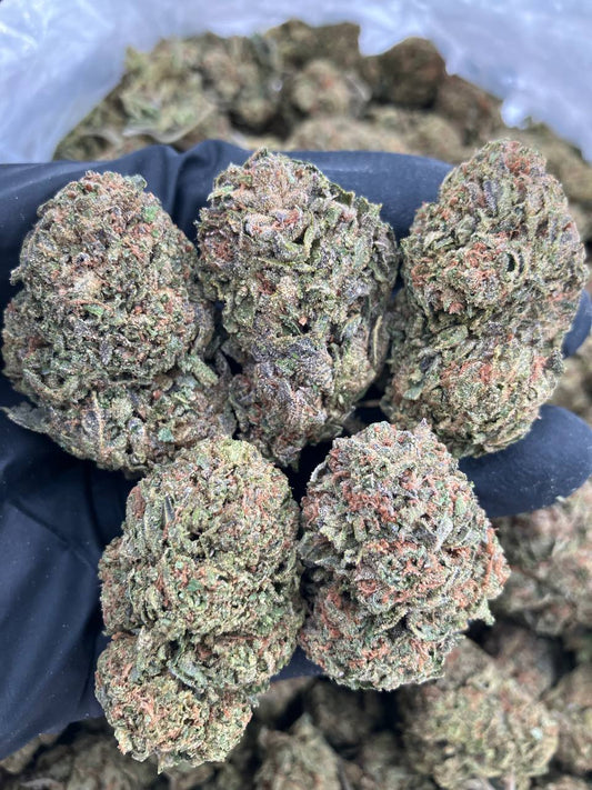 Punani Purp