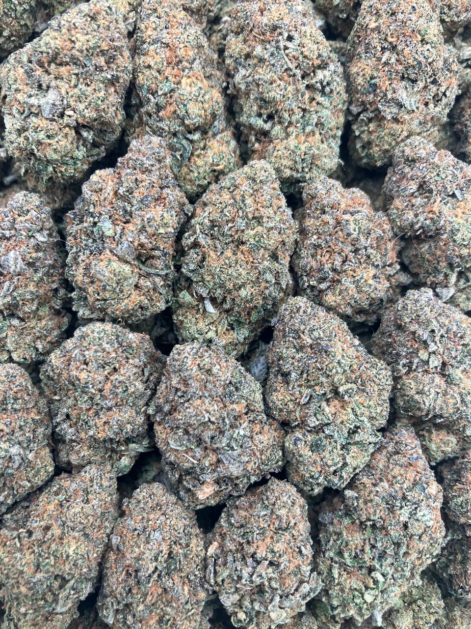 Punani Purp