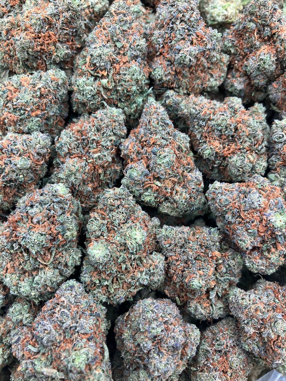 Gelato Cookies (Restock)