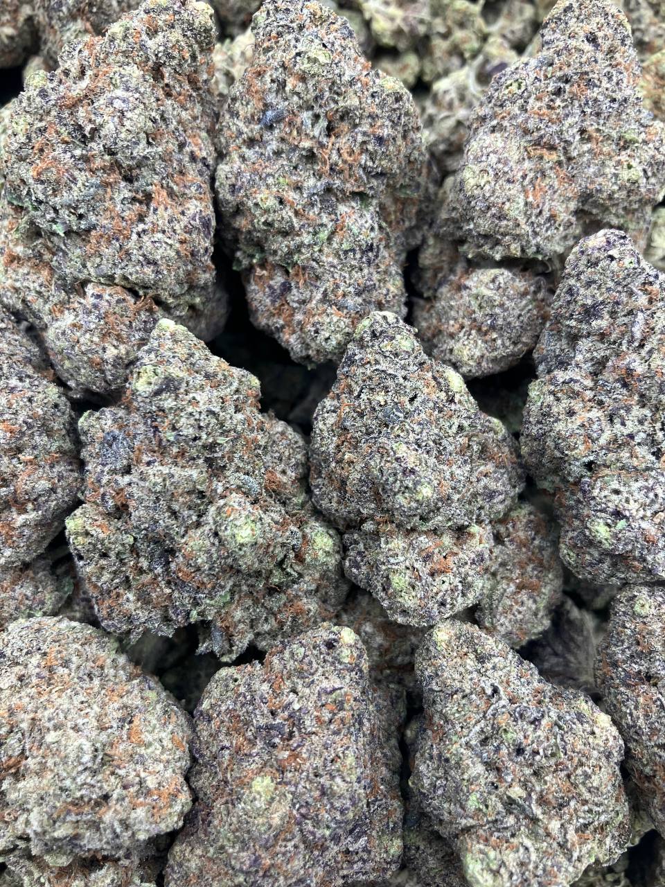 Roca Mints