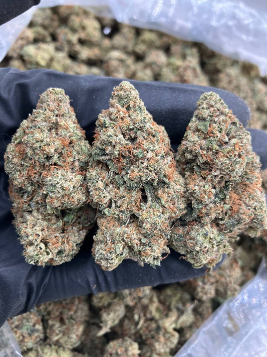 Saturn OG