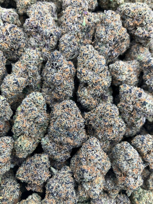 SJ x Gelato