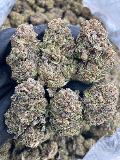 Sourbelts