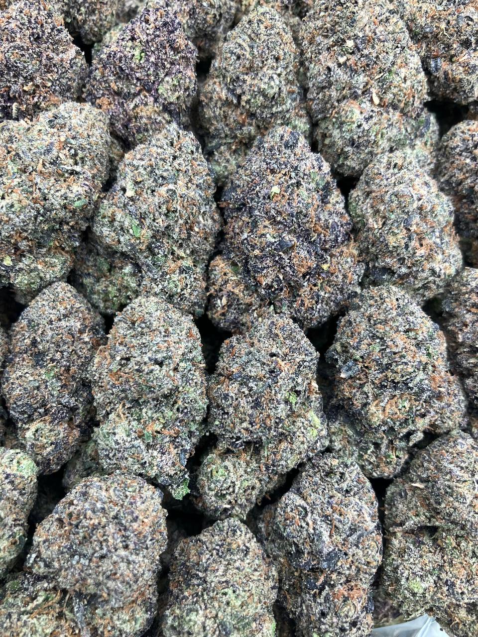 Starburst Gelato