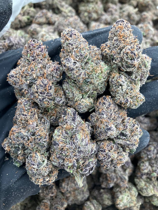 Terpene Torpedo