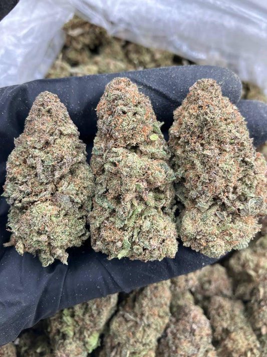 Top Dog Platinum