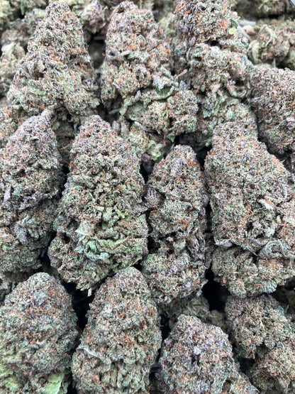 Top Dog Platinum