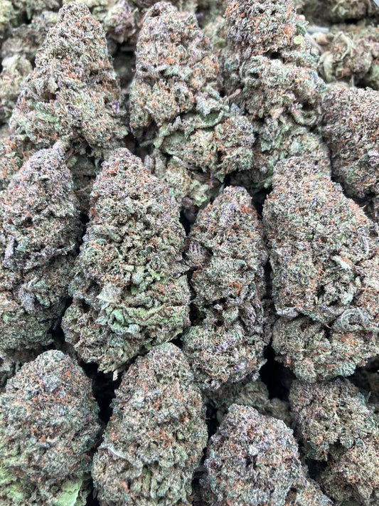 Top Dog Platinum