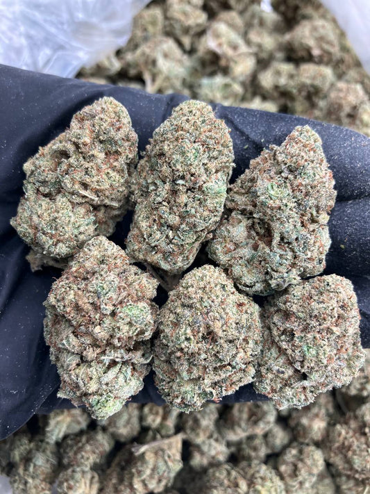 Wifi OG (Seeded)